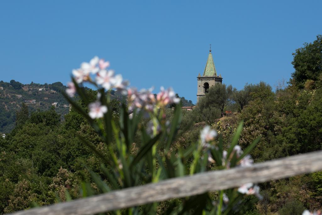 Turismo Rurale Il Sole Villa Sant'Angelo di Brolo ภายนอก รูปภาพ